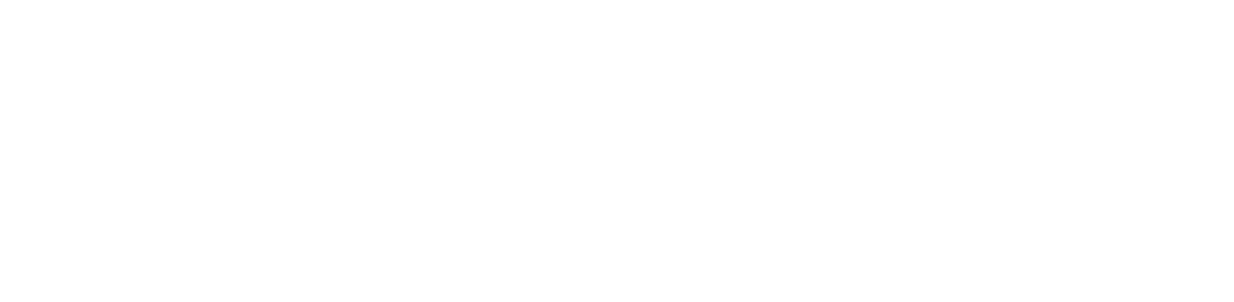 Diana's Dance Co.